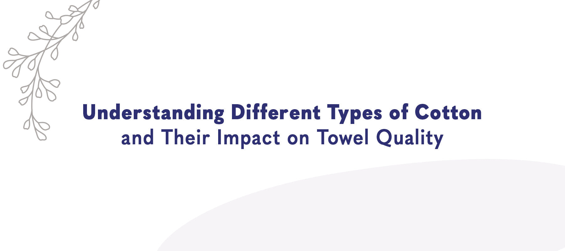 Understanding Different Types of Cotton and Their Impact on Towel Quality
