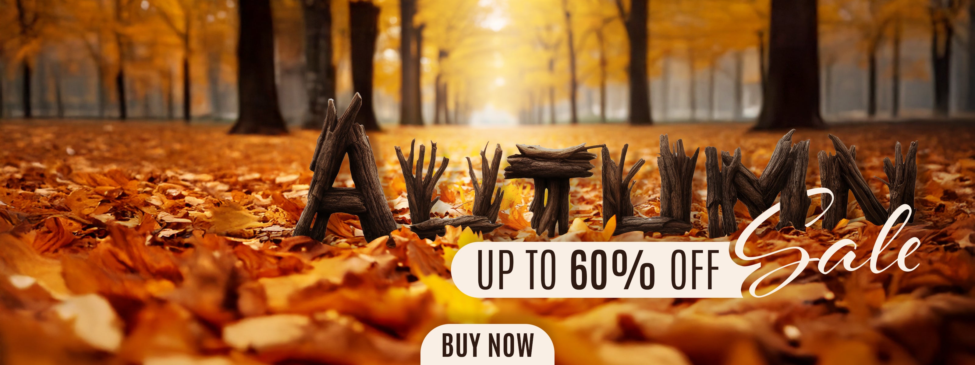 Autumn Sale 2025 | American Soft Linen